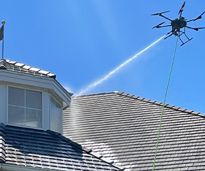 Best Exterior Window Cleaning Solution