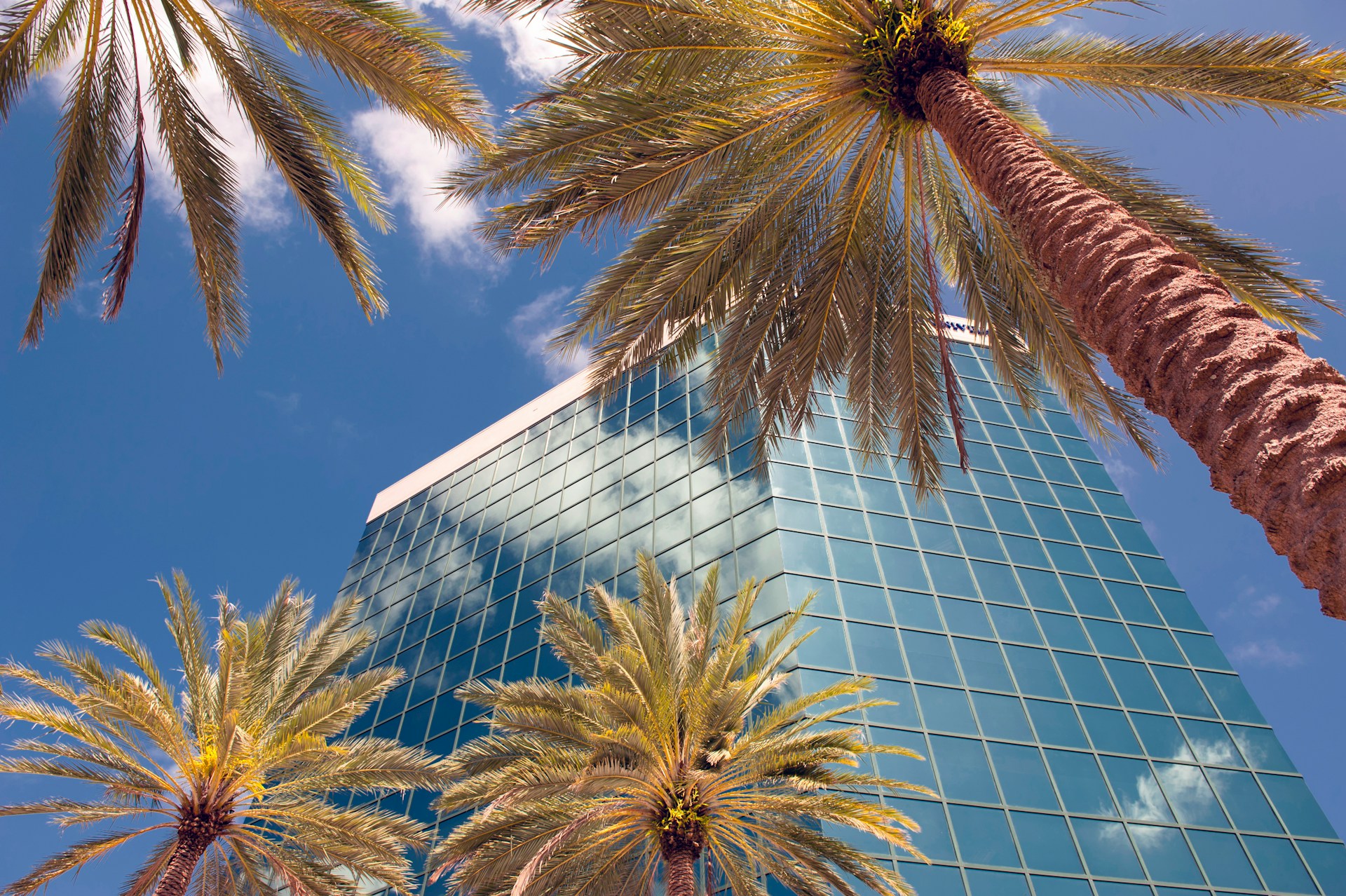 how often clean commercial roof south florida